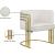 Rays Velvet Accent Chair