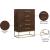 Maxine 5-Drawer Wood Chest with Brushed Gold Metal Legs & Handles