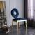 Carousel Velvet Dining Chair with Gold Stainless Steel Frame