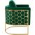 Casa Velvet Chair with Gold Iron Metal Base