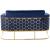 Casa Velvet Loveseat with Gold Iron Metal Base