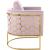 Casa Velvet Chair with Gold Iron Metal Base