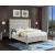 Savan Velvet Queen Size Bed