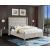 Savan Velvet Bed