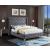 Savan Velvet Bed