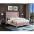 Savan Velvet Bed