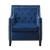 Grazioso Velvet Accent Chair