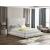 Revel Velvet Bed