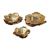 Organic Shaped Wall Art (Set of 3)
