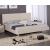 Charm Full Wood/Veneer Bed