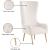 Alexander Velvet Accent Chair