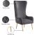 Alexander Velvet Accent Chair