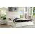 Bliss Velvet Bed