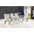 Nikki Velvet Dining Chair