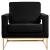 Noah Velvet Accent Chair with Gold Stainless Steel Base
