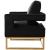 Noah Velvet Accent Chair with Gold Stainless Steel Base