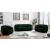 Elijah Boucle Fabric Sofa