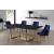 Karina Velvet Dining Chair with Polished Metal Frame