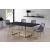 Karina Velvet Dining Chair with Polished Gold Metal Frame