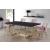 Karina Velvet Dining Chair with Polished Metal Frame