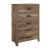 Mandan Wood/Wood Veneer Chest