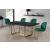 Paris Velvet Dining Chair with Polished Metal Frame