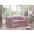 Julian Velvet Loveseat with Stainless Steel Base