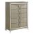 Samantha 5-Drawer Wood Veneer Chest