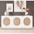 Cane 3-Door Wood Veneer Sideboard