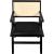 Abby Faux Leather & Cane Arm Chair