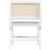 Abby Faux Leather & Cane Side Chair