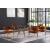 Madelyn Velvet Dining Chair with Brushed Brass Frame