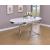 Retro Oval Dining Table with Chrome Base
