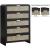 Sage 5-Drawer Wood Chest with Natural Cane Drawer Front