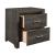 Edina Leatherette/Wood Veneer Panel Youth Bedroom Set