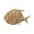 Islamorada Driftwood Fish