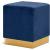 Jax Velvet Ottoman/Stool with Stainless Steel Base