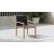 Tulum Outdoor Patio Mesh Waterproof Fabric Dining Arm Chair with Natural Teak Base