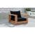 Tulum Outdoor Patio Waterproof Fabric Accent Chair with Solid Teak Wood Frame