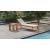 Tulum Outdoor Patio Mesh Waterproof Fabric Chaise Lounge Chair with Solid Teak Wood Frame