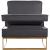 Noah Velvet Accent Chair with Gold Stainless Steel Base