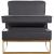 Noah Velvet Accent Chair with Gold Stainless Steel Base