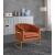 Carter Velvet Accent Chair
