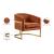 Carter Velvet Accent Chair