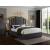 Hugo Velvet Queen Size Bed