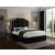 Hugo Velvet Queen Size Bed