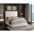 Becca Velvet Full Size Bed