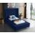 Kiki Velvet Twin Size Bed