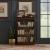 Brayton Manor Wood Jr Executive 48-Inch Bookcase