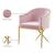 Xavier Velvet Dining Chair with Gold Steel Legs